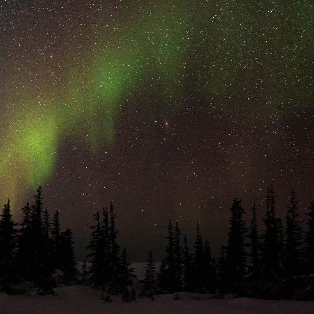 Lonely Planetさんのインスタグラム写真 - (Lonely PlanetInstagram)「Seeing the northern lights can be one of the greatest thrills in nature.   📷Capturing the elusive aurora borealis on camera can be a bit tricky though. Luckily we've put together a few tips should know before you set off on your aurora adventure.  Visit our profile to see the guide.」9月24日 5時28分 - lonelyplanet
