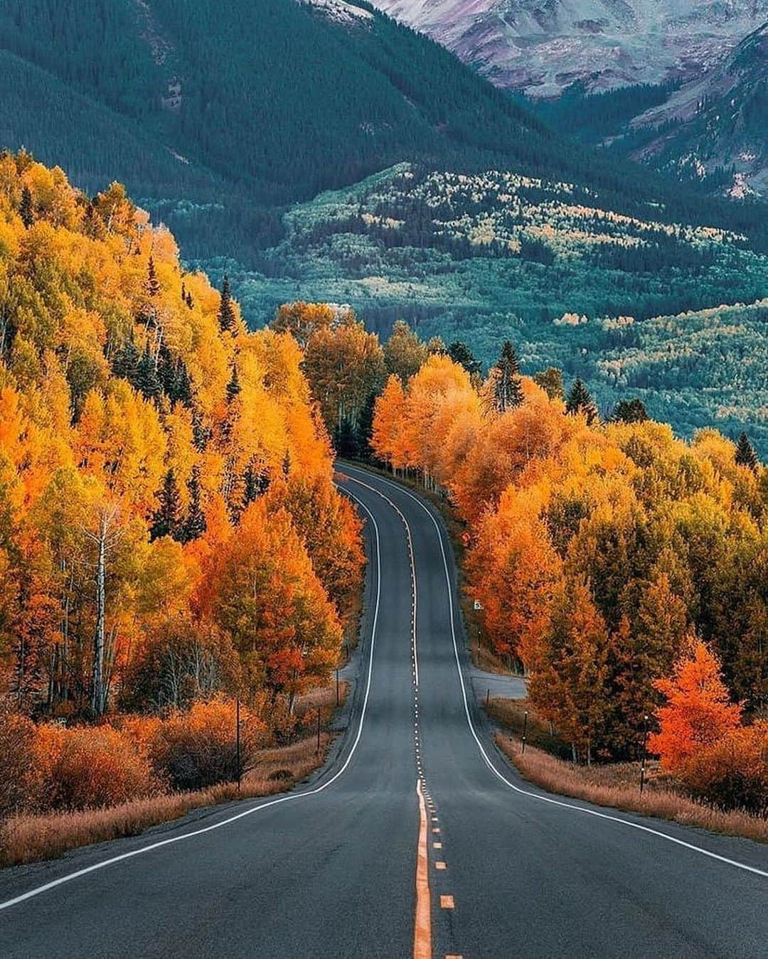 Canon Photographyさんのインスタグラム写真 - (Canon PhotographyInstagram)「Roads, roads and roads.  Photography // @neohumanity Curated by @steffeneisenacher  #roads #steamtrain #northernlights #sunset #train」9月24日 6時18分 - cpcollectives