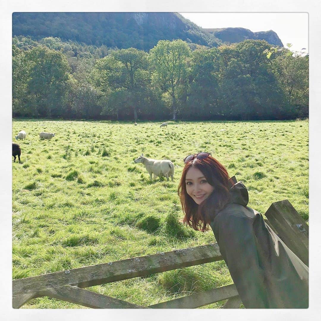 のインスタグラム：「【湖水地方】  至る所に羊🐑🐑🐑  目があった‼😂︎(２枚目)  もこもこしてて可愛いねぇ☺️ のんびりしてる🐑  初日は柵の外から見ているだけでしたが、翌日目的地に向かう途中、遂に同じフィールドに立てました\( ˆoˆ )/w  お食事中ごめんね、少しだけお邪魔させてね☺️ * * * * * #london #londonlife #londontrip #londondiaries #lakedistrict #sheep #trip #travel #travelphoto #northface #osprey #supriseview  #ロンドン #イギリス　#ロンドン日記　#イギリス旅行　#湖水地方　#旅行　#羊　#大自然　#湖水地方 #ハイキング　#ノースフェイス　#ハイキング女子　#ハイキングコーデ  #渡辺枝里子」