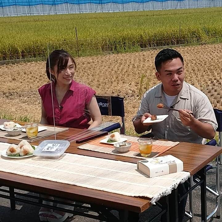 和歌山県食品流通課さんのインスタグラム写真 - (和歌山県食品流通課Instagram)「<虎ノ門市場プレミア和歌山特集②>  今年もテレビ東京人気通販番組「虎ノ門市場」でプレミア和歌山特集企画が放送されます！！  ２回目は「ふっくら肉厚！紀州南高梅・梅干しセット」。  梅の生産量日本一を誇る和歌山県。その生産量の約6割は和歌山県で生産されており一大生産地です。  なかでも「南高梅」は、大粒で皮が薄く、果肉が厚く柔らかいのが特徴です。  今回は、優れた県産品を“和歌山らしさ”、“和歌山ならでは”の視点で選定される「プレミア和歌山」に認定された3品が食べ比べセットとして紹介されます。  ①「はちみつ入り味梅」 ②「リンゴ酢の梅」 ③「紀陽梅じゃばらはちみつ」  ○9月24日(木)17時10分～17時30分 ○テレビ東京  残念ながら和歌山では観ることができませんが、ECサイトでも購入が可能です！  https://www.toranomon-ichiba.com/special/wakayama.html  #虎ノ門市場 #テレビ東京 #和歌山 #おいしい健康わかやま #プレミア和歌山  #いなみの里梅園 #井上梅干食品 #日本商事 #梅干 #林家たま平さん #橘香央里さん」9月24日 7時40分 - tasty_healthy_wakayama