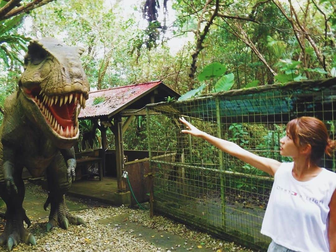 SAYUKAさんのインスタグラム写真 - (SAYUKAInstagram)「アナコンダみたいなの いちばんテンションばくあがった🐍  恐竜すき🦖🤎 恐竜いたらとりあえずいっちゃうよね。 少年！  🌲 #やんばる亜熱帯の森 #canonphotography」9月24日 19時04分 - sayumiso216