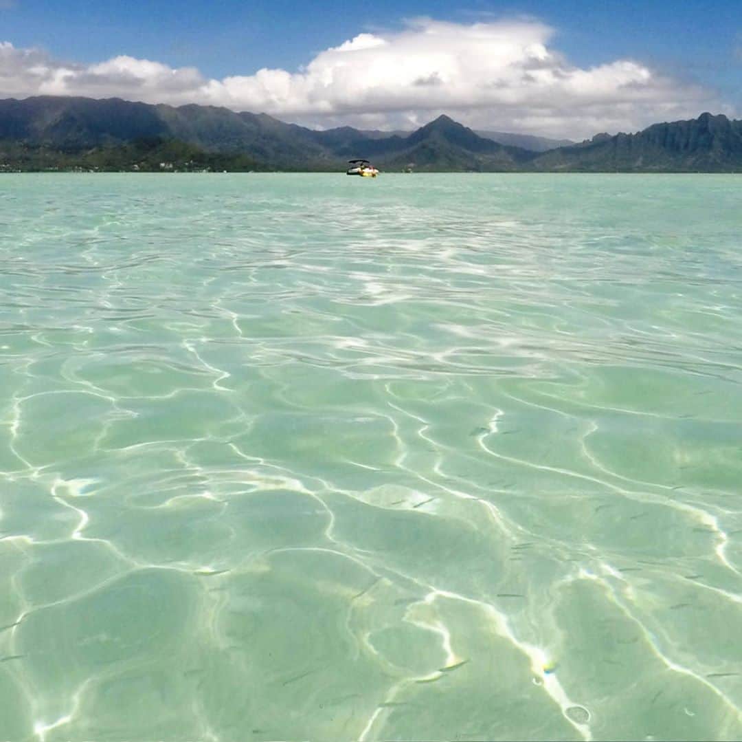 Luxury Cruise by Captain Bruceさんのインスタグラム写真 - (Luxury Cruise by Captain BruceInstagram)「はー。⁠こんなところで泳ぎたいなぁ…⁠⠀ ⁠⠀ ⁠⠀ 天国の海はカネオヘ湾の沖にあるため、ハワイにいてもなかなか簡単には行けません。⁠⠀ 近くて遠い場所なのですね💦⁠⠀ ⁠⠀ ⁠⠀ ⁠⠀ #captainbruce 🌴 #kaneohesandbar #kbay #hawaii #oahu #oahulife #vacation #kamaaina #ahuolaka #ahuihou #ocean #water #island #aloha #havealohawilltravel #キャプテンブルース #天国の海ツアー #天国の海 #サンドバーツアー #アフオラカ #ハワイ大好き #オアフ島 #絶景 #海 #早く泳ぎたい」9月24日 17時43分 - cptbruce_hi