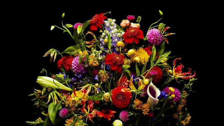 椎木俊介のインスタグラム：「Flowers  #azumamakoto #makotoazuma #shiinokishunsuke #amkk #amkkproject #flowers #flowerart #東信 #東信花樹研究所 #花  #timelapse」