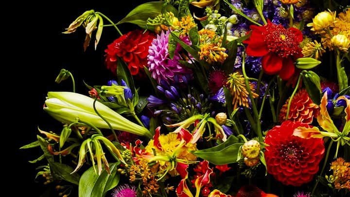 椎木俊介のインスタグラム：「Flowers  #azumamakoto #makotoazuma #shiinokishunsuke #amkk #amkkproject #flowers #flowerart #東信 #東信花樹研究所 #花  #timelapse」