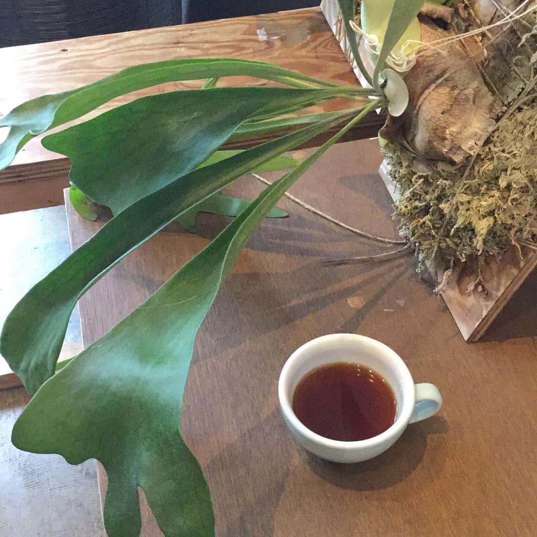 HeyCoffeeのグルメインスタ
