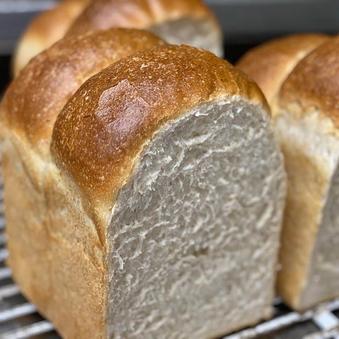 魔女菅原のグルメインスタ