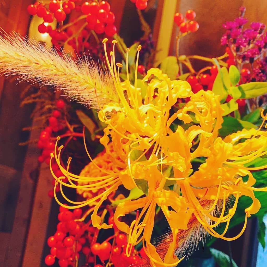 のインスタグラム：「黄色い彼岸花  Lycoris aurea」