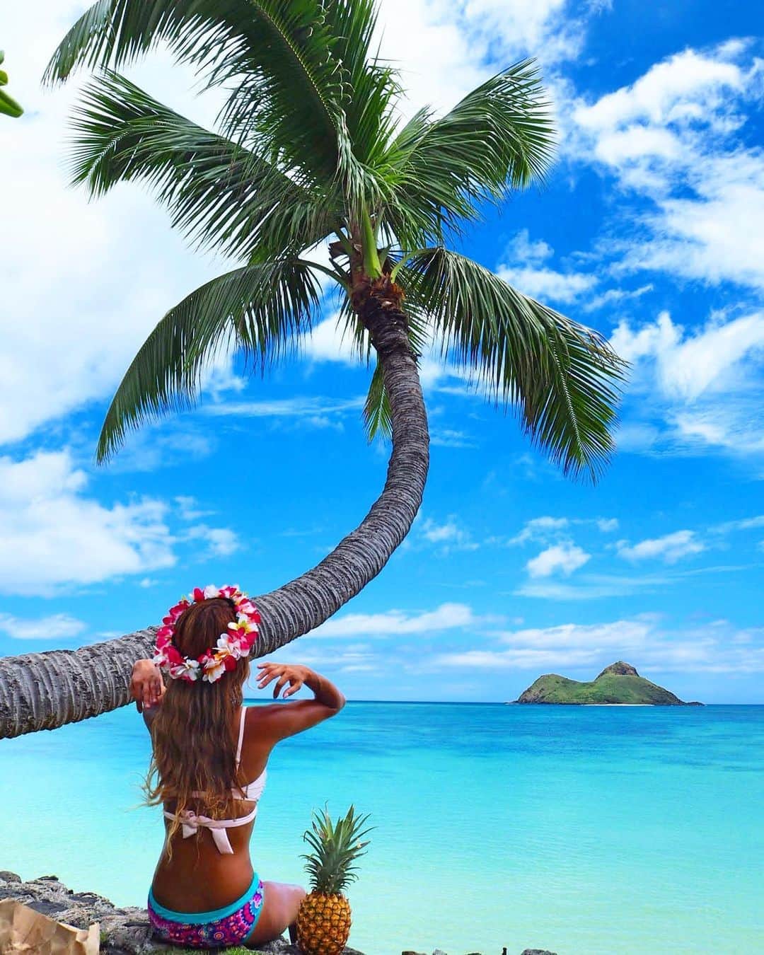shihoのインスタグラム：「💚💙🌴💚💙 ・ 旅の相方は 隣に一緒に座ってるパイナップルちゃん。笑 ・ 目の前に広がる絶景を前に ただただボーッと時間を忘れて 眺めているしあわせ🥰💙 ・ もちろん実際の目で見るのが一番だけど、 写真だけでも うっとり感動をさせてくれるのが やっぱりHawaiiマジック♡ ・ #hawaii#islandofoahu#oahu#ハワイ#trip #オアフ島#travel#loco_hawaii#travel_jp #funtorip#タビジョ#旅MUSE#genic_travel #genic_mag#たびねす#旅行#genic_hawaii #lanikaibeach#カイルア#beach#sea#kailua #ラニカイビーチ#tabijyo_beach#oahuhawaii #tabijyomap_hawaii#lealeahawaii#2020」