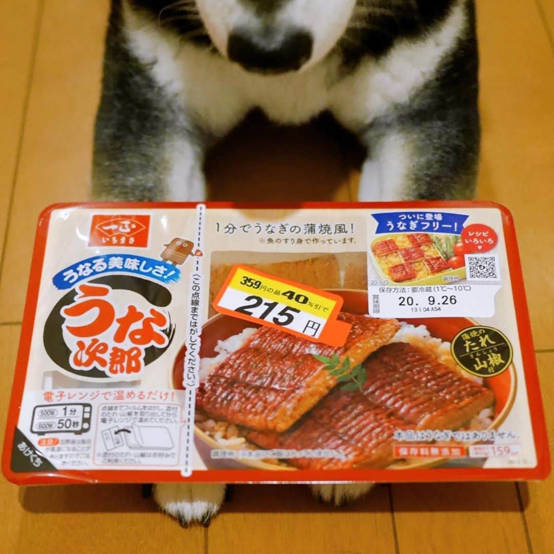 くろさんのインスタグラム写真 - (くろInstagram)「本日の在宅ランチ🍚 ちょっと前に脚光を浴びた うなぎの蒲焼風「うな次郎」が40%引きだったので買ってみました。 蒲焼のタレと山椒が添付されてるのですが、コレがイマイチで蒲焼のタレ感ナッシングw 日本食研のうなぎのたれを使えば良かったと激しく後悔。 肝心の蒲焼風本体は魚のすり身なので食感もフニャフニャで頑張って裏面に鰻の皮っぽい加工がされてるだけでしたwww こりゃー売れ残るのも致し方無いかなと😅 #うな次郎 #うなぎフリー #一正蒲鉾 #本品はうなぎではありません #うなぎの蒲焼風」9月24日 11時54分 - m6bmw