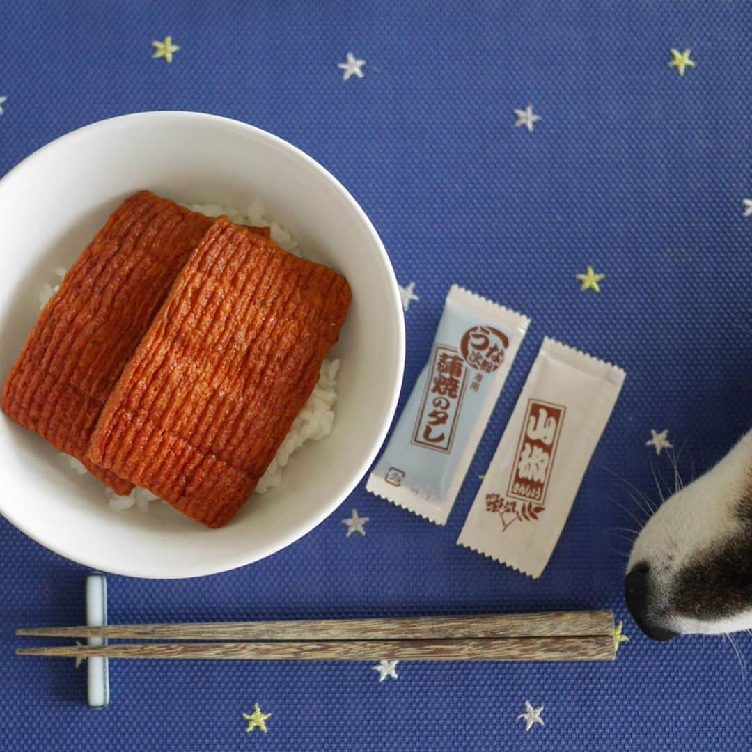 くろさんのインスタグラム写真 - (くろInstagram)「本日の在宅ランチ🍚 ちょっと前に脚光を浴びた うなぎの蒲焼風「うな次郎」が40%引きだったので買ってみました。 蒲焼のタレと山椒が添付されてるのですが、コレがイマイチで蒲焼のタレ感ナッシングw 日本食研のうなぎのたれを使えば良かったと激しく後悔。 肝心の蒲焼風本体は魚のすり身なので食感もフニャフニャで頑張って裏面に鰻の皮っぽい加工がされてるだけでしたwww こりゃー売れ残るのも致し方無いかなと😅 #うな次郎 #うなぎフリー #一正蒲鉾 #本品はうなぎではありません #うなぎの蒲焼風」9月24日 11時54分 - m6bmw
