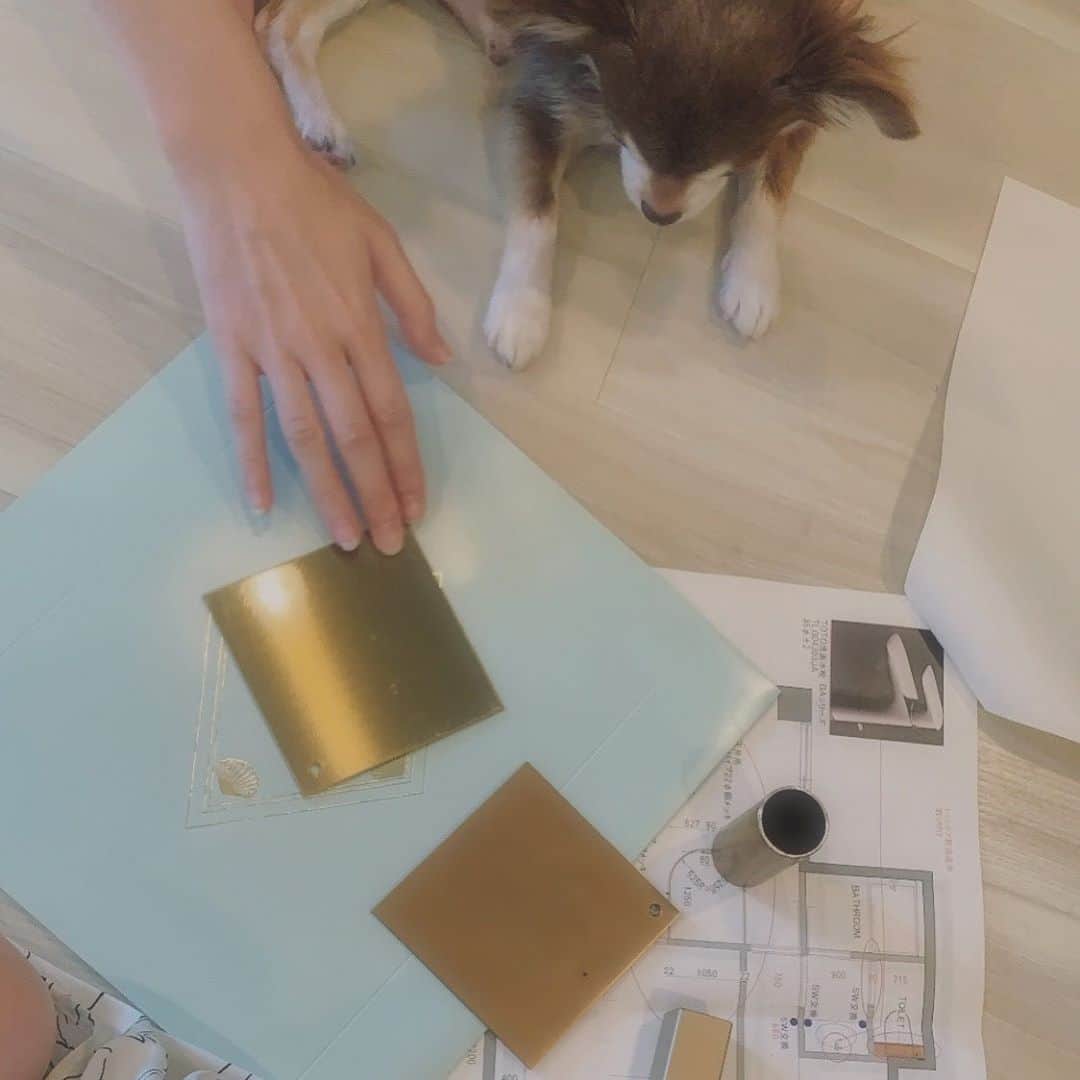Tomomi Teradaのインスタグラム：「チュロも考えてる🐶🤎💭」