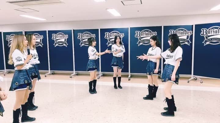 CHALのインスタグラム：「.﻿ おまたせしました！﻿ ﻿ 第5回『 Happy Day 』らびゅ選手権💓﻿ ﻿ ﻿ 一部音声聞きづらくなっております🙇🏼‍♀️﻿ ご理解くださいませ🙇🏼‍♀️﻿ ﻿ ﻿ 今回の主人公は﻿ いっつもやりたそ〜にしていた﻿ 待望のあの子でした🤍(笑)﻿ ﻿ ﻿ ﻿ #chal_312 #野球好き #オリックス﻿ #Bs2020 #BsGirls #野球女子﻿ #野球 #バファローズ #オリ姫 #orixbuffaoes﻿ #baseball #プロ野球 #ORIX #buffaloes﻿ #オリックスバファローズ #avex﻿」