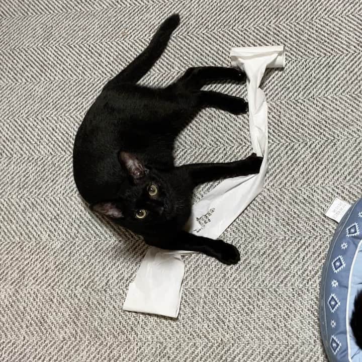 MAKO0MAKO0のインスタグラム