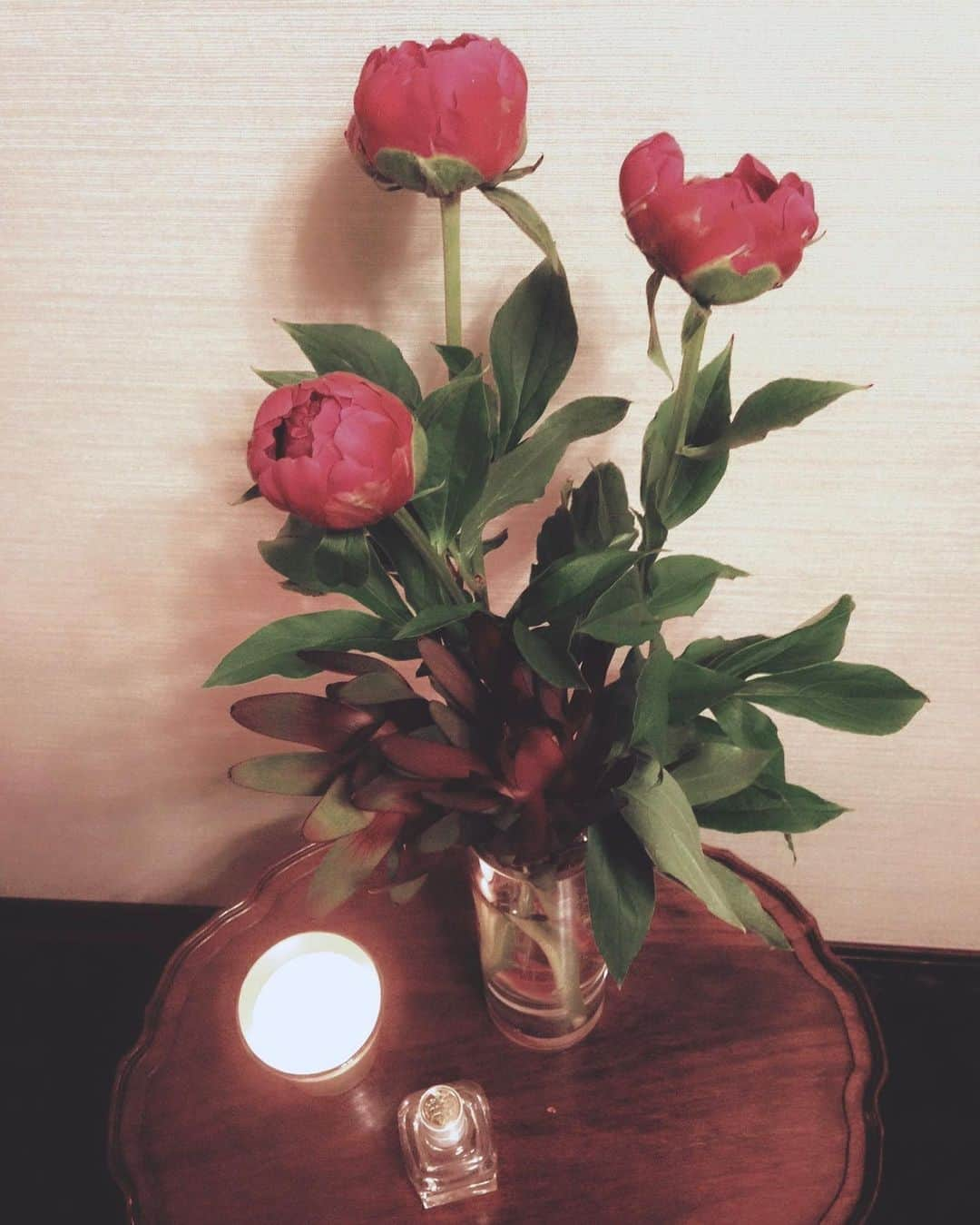 遠海まりこさんのインスタグラム写真 - (遠海まりこInstagram)「Space with flowers  ———————————————————————﻿ ﻿ ﻿ #peony #peonies #leucadendron #flowers #flower #space #candles #antiques #spacewithflowers #芍薬 #リューカデンドロン #空間と花 #キャンドル #一輪」9月24日 13時09分 - marikotohmi99