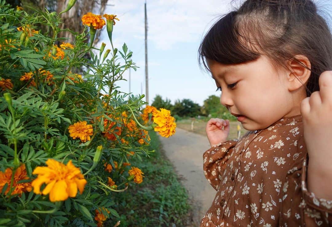 ゆうひなたさんのインスタグラム写真 - (ゆうひなたInstagram)「. . . 花と娘🌼. . . お花を見つけて一目散に 走って向かうゆうひさん☺️ 女の子やな〜☺️. . . ひまわり畑とかチューリップ畑 連れて行ってあげたい🌷♡」9月24日 13時19分 - yu_hinataxx