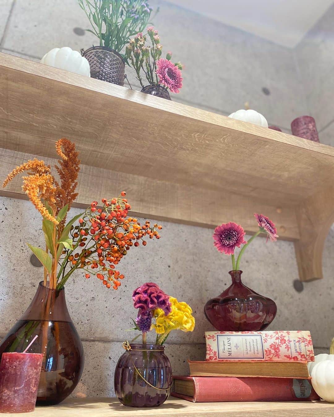 笹塚駅のパン屋さん オパンのグルメインスタ