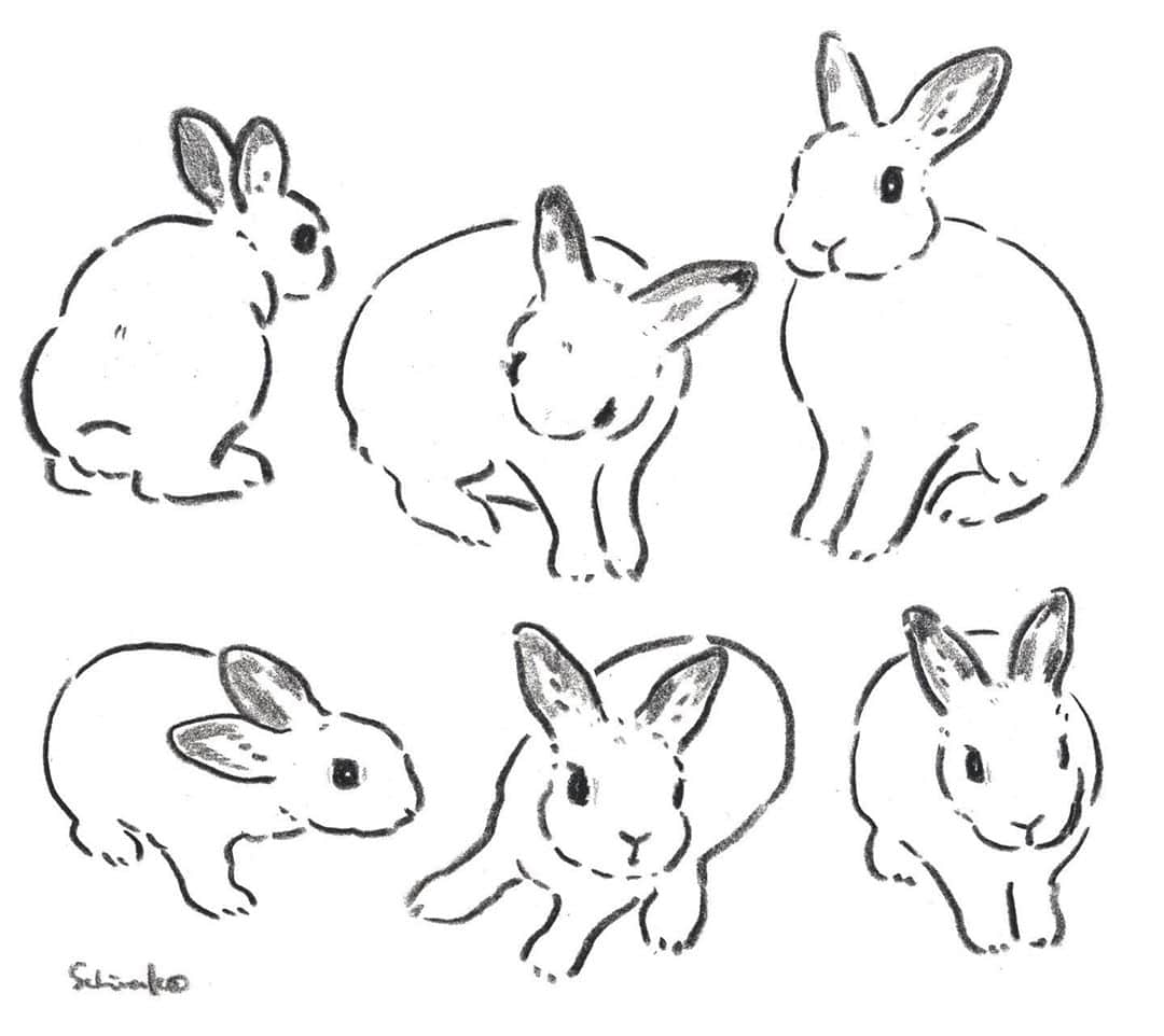 森山標子(しなこ)/Schinakoのインスタグラム：「I relax by drawing my bun✏️ ちょっと息抜きにダーマトグラフという太い画材でうちの子を描きました 私、うちの子を描かせたら世界一だと思う（えへへ） * #illustration#art#drawing#design#acrylicpaint#アクリル絵の具#rabbit#bunny#うさぎ」