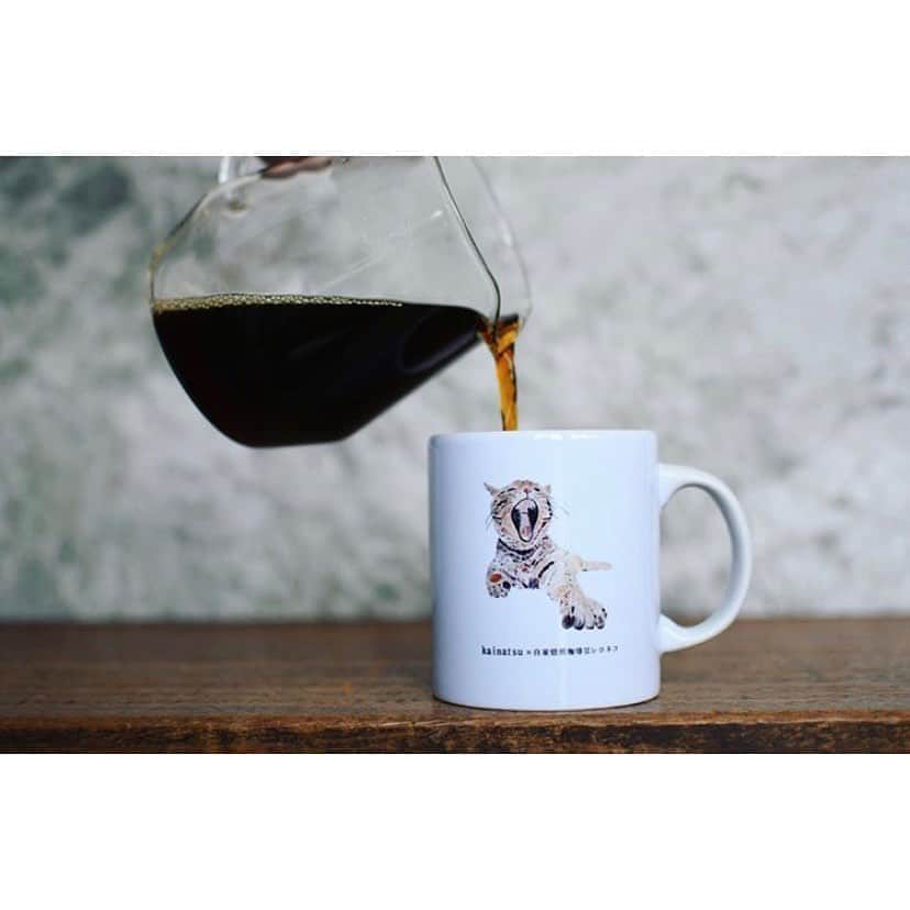 kainatsuのグルメインスタ