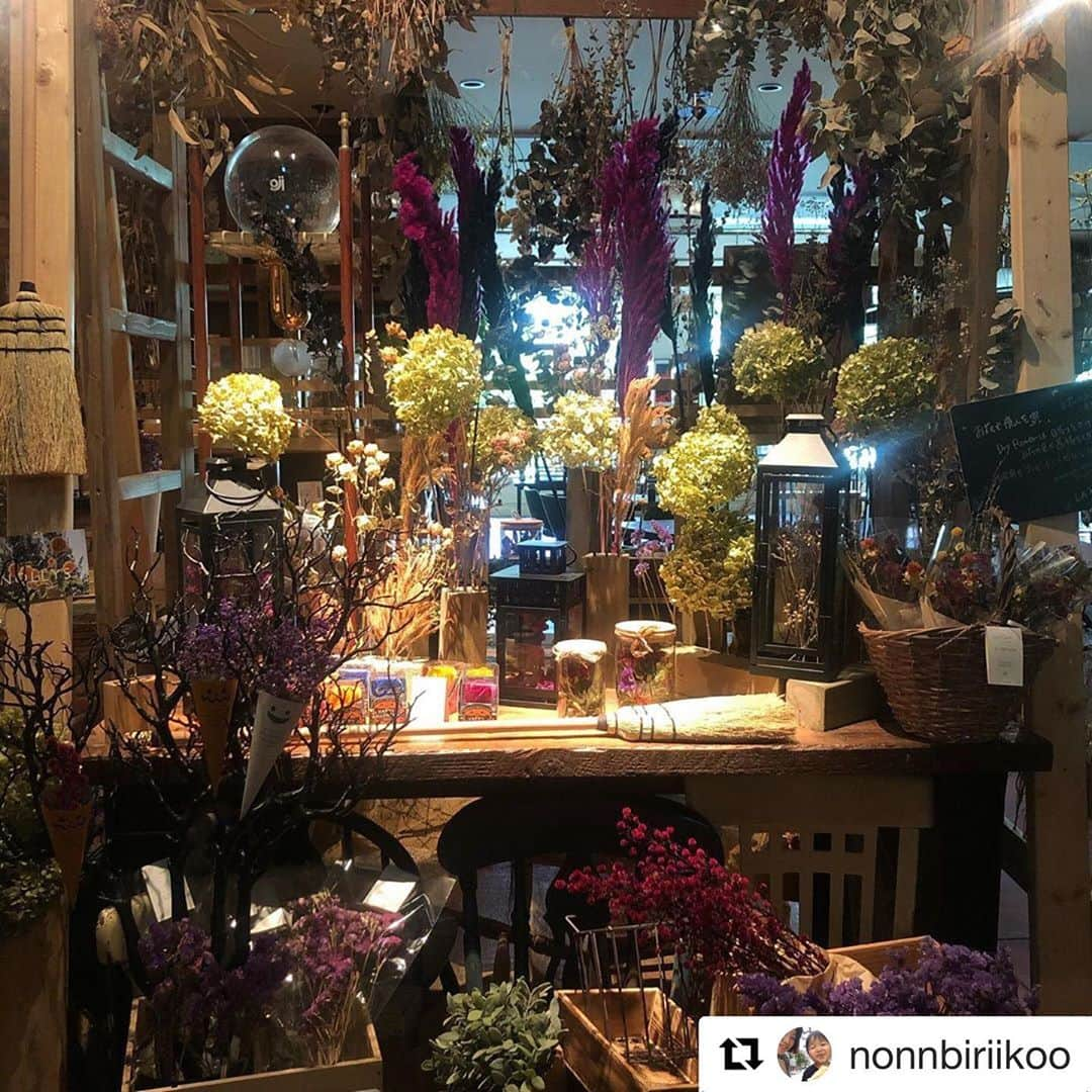 ブルックリンパーラー札幌さんのインスタグラム写真 - (ブルックリンパーラー札幌Instagram)「#Repost @nonnbiriikoo with @get_repost ・・・ 秋  一番好きな季節  ドライフラワーもリニューアル  #ブルックリンパーラー札幌#ドライフラワー#ハロウィン#カフェ#札幌カフェ#札幌ランチ#赤れんがテラス」9月24日 15時35分 - brooklynparlorsapporo