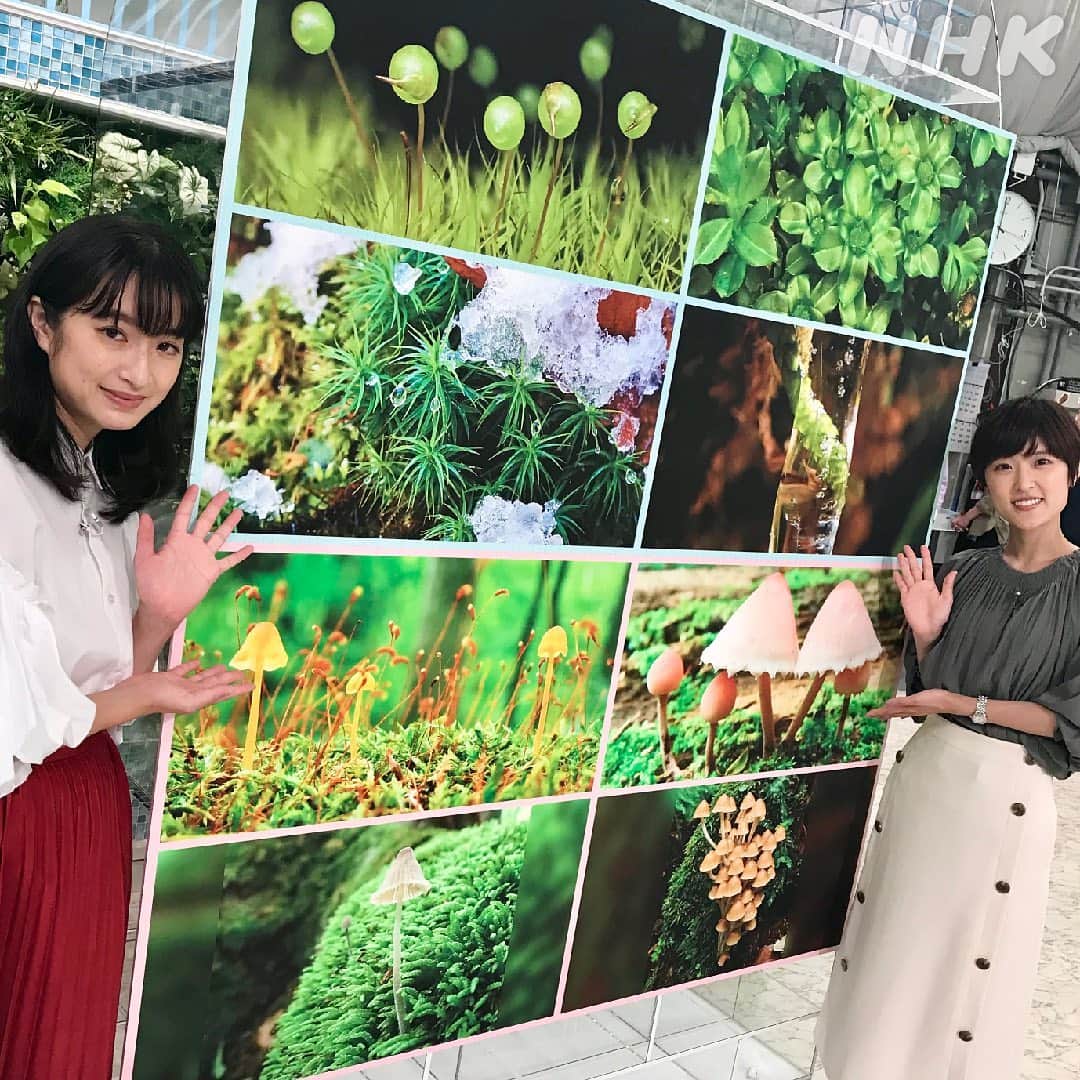 あさイチのインスタグラム