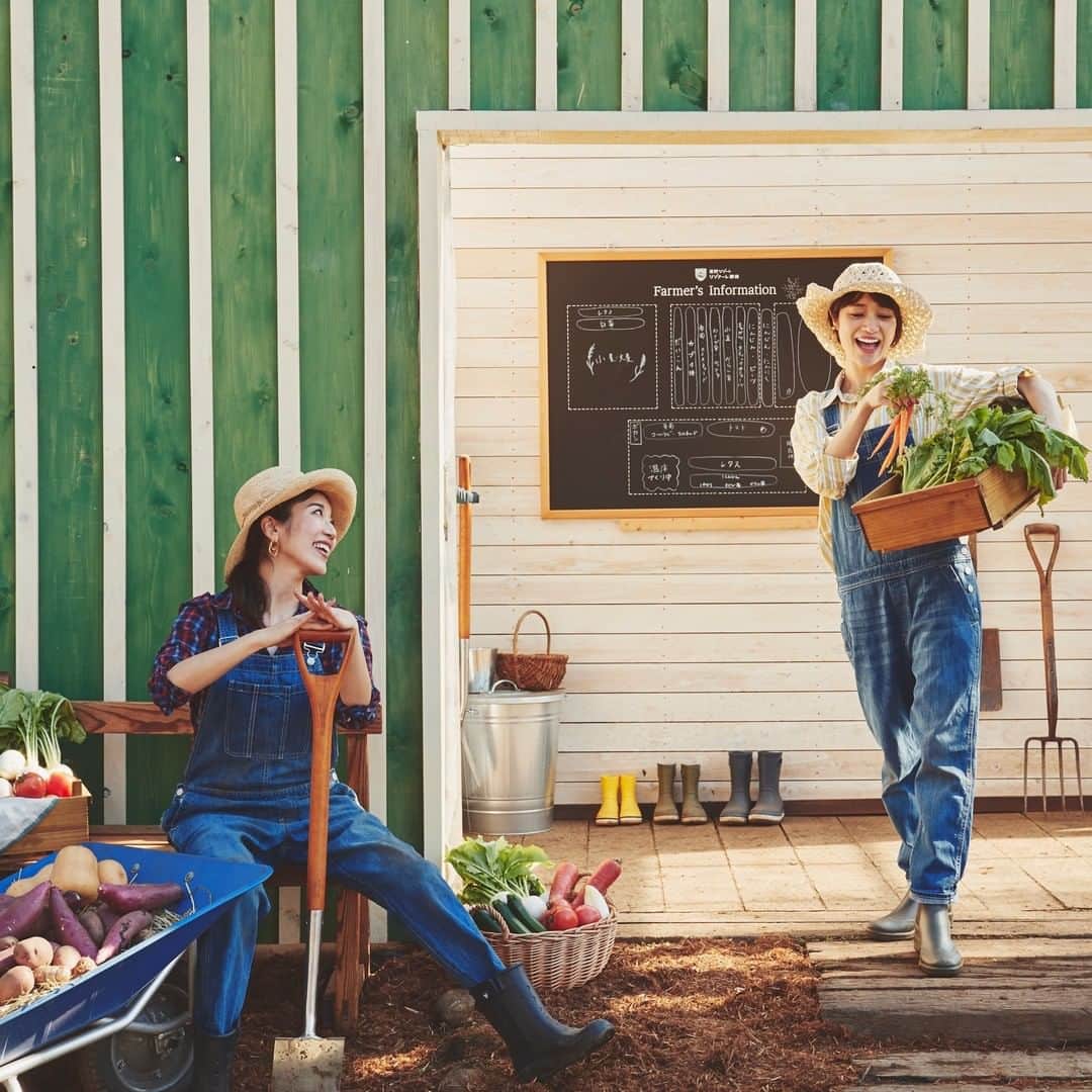 星野リゾートのインスタグラム：「【全国の野菜不足(ベジロス)女子に捧げる救菜ステイ】  Enter the wonderful life of having a healthy lifestyle by increasing intake of vegetables and fruits. Hands on experience of farming and learning new recipes will surely change your habits!  日本初のアグリツーリズモリゾート「星野リゾート リゾナーレ那須」では、2020 年 9 月 1 日~11 月 30 日の期間、1 泊 2 日のリゾート滞在を通して野菜不足を解消する「ベジロス女子の救菜ステイ」の提供を開始します。  野菜摂取量の目安は 1 日 350g と言われていますが、本プランでは、その倍以上の 750g を食べきることを目指し、2 日間で計 1.5kg の野菜をホテルでの食体験を通じて摂取します。旅を通じて、楽しく野菜不足を解消することのできるプランです。   #HoshinoResorts #星野リゾート #Risonare #リゾナーレ #RisonareNasu #リゾナーレ那須 #Tochigi #Nasu #栃木県 #那須 #野菜 #野菜たっぷり #女子旅」