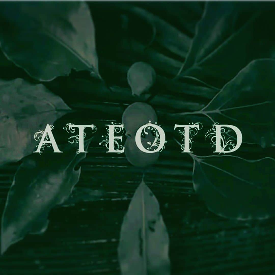 のインスタグラム：「明日より @ateotd_film   photo：@takumisaitoh_official   #ateotd #ateotd_film  at the end of the day」