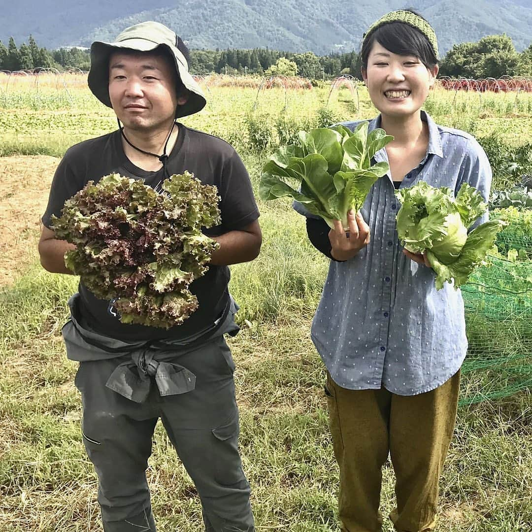 LDH kitchenさんのインスタグラム写真 - (LDH kitchenInstagram)「.  @ldhfarm_official  🚛〜LDH farm〜🚛 ・ 《Farmers Market》 ・ 【 ひぐらしバーガー家庭用キット(特製カボチャバンズ＆野菜セット)】 ・ 「なべくら高原 ひぐらし農場」で採れた美味しい野菜をバンズ(パン)に挟んでたべる、オリジナルの野菜ハンバーガーをお届けいたします🎶 ・ ハンバーガーのバンズはカボチャが練りこんであるので、具材からもバンズからも野菜をたっぷりと楽しめる逸品です😋・ 色々な野菜の組み合わせに、お好みでハムなどを挟んで食べてもオススメです👍🏽・ 野菜が大好きな方はもちろん、野菜が苦手な方も楽しく野菜を食べられるようにと「なべくら高原 ひぐらし農場」が考えた、ご家庭で楽しく食べる野菜たっぷりハンバーガーを是非お試しください😊 ・ 「なべくら高原 ひぐらし農場」は長野県の最北端に位置する日本有数の豪雪地帯である飯山市、その中でもさらに冬場は３ｍを超える積雪もある『なべくら高原』にて夏〜秋季シーズンは高原野菜や夏野菜を中心に栽培している農家です👨‍🌾・ 秋～降雪の時期は、なべくら高原の畑以外に里の畑も利用し、高原野菜だけでなく野沢菜などの栽培、冬はハウスで農薬などは一切使わずに育てるホウレン草、春菊など葉物野菜を栽培しております‼︎・ 「なべくら高原 ひぐらし農場」が皆さまに野菜をお届けするのに一番大事にしている事は、誰もが安心して食べて頂けるような安全な野菜🥬・ そのために、手間はかかりますが極力農薬の使用を抑えて育て、病害虫が発生をしてしまった時に防除程度の減農薬栽培を行っております🧐・ 昼夜の寒暖差やなべくら高原に広がるブナ林が冬中蓄えた雪解けの水と、ひぐらし農場が35年来ずっと作り続けてきた良い土が育む、美味しく健康的な野菜たちを是非とも召し上がっていただきたいと思います！！・ ・ ・ LDH farmでは、全国の素晴らしい生産者との取り組みとして、産地直送の農産物を販売しております。・ ・ 注文方法や詳細は、LDH farmのホームページより、ご確認ください。 ・ ・ 【商品詳細】・ ◆かぼちゃバンズ(6個)・ ※飯山市の農家仲間である、「やよい農園」の特製バンズ・ ◆葉野菜など「ひぐらし農場」で採れた新鮮野菜(6種類前後)・ 例)レタス類✖️２個（レタス、ロメインレタス、グリーンリーフレタス、サニーレタス）・ ミニトマト✖️１袋(150g)・ 丸ナス ✖️3個・ 白ナス ✖️3個・ ピーマン✖️4個・ マイクロきゅうり ✖️1袋(約100g)・ ※レタス類の種類は上記の中から時期により変動致します。・ 他野菜も時期により変動致します。・ 4,078円(税込4,404円) ・ 【数量】 15セット限定 ・ 【送料】・ 送料込み🚛 ・ 【生産地】・ 長野県飯山市鍋倉高原 ・ ・ ■ご注文：LDH farm（https://www.ldhfarm.co.jp/product/） ・ __ 🍔🥬🍆🍅🥒🥗__ ・ @ldhfarm_official ・ のプロフィールURLからご購入いただけます🤗 ____________________________________ #LDHfarm #FarmersMarket #eatveggies #おうち時間 #LDHJAPAN #LDHkitchen #なべくら高原 #ひぐらし農場 #長野県 #飯山市 #鍋倉高原 #旬の野菜 #野菜ハンバーガー」9月24日 17時03分 - ldhkitchen_official