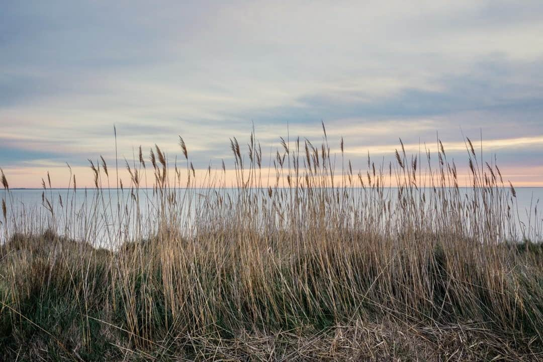 National Geographic Travelさんのインスタグラム写真 - (National Geographic TravelInstagram)「Photo by @paoloverzone / A late afternoon view of the wetlands of Camargue in southern France. Situated between the two arms of the Rhône River, the Camargue region is one of the most peculiar ecosystems in Europe. It is a paradise for horses, bulls, and a variety of birds (more than 400 species) that live free and protected in Camargue Regional Nature Park. The park is a perfect place for trekking, riding horses, or bird-watching in a magical natural landscape between land and sea. Follow @paoloverzone for more photos and stories. #camargue」9月24日 17時08分 - natgeotravel