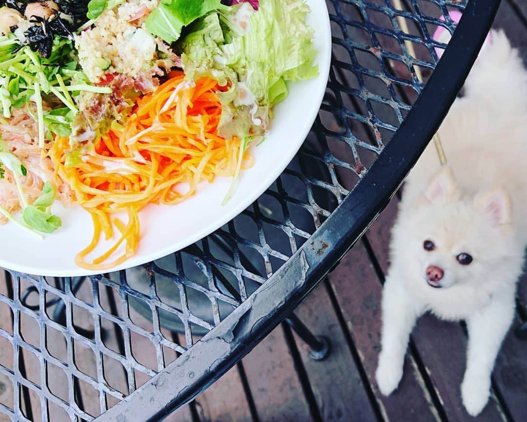 伊勢みずほのグルメインスタ