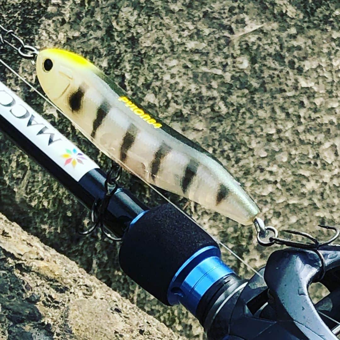 人時のインスタグラム：「PYLON84で釣りたいなー…。  #hideup」