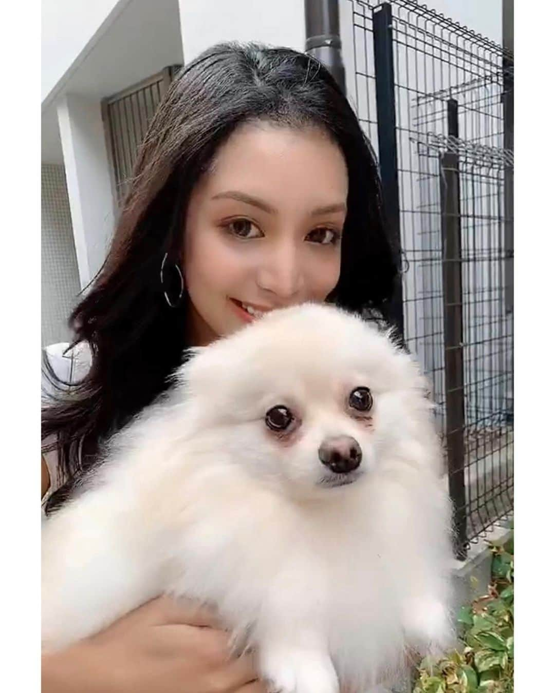 小松ナオさんのインスタグラム写真 - (小松ナオInstagram)「4ヶ月ぶりにうちの子登場です🐶﻿ 耳たたんでてもぴょんしててもかわいい﻿ ﻿ ﻿ 今日マネージャーさんに「今月1回しか投稿してないね…」と言われて気付いたので﻿ 画質悪いけど取り急ぎ載せます🤣🤣✨﻿ ﻿ ﻿ #ポメラニアンが世界一可愛い﻿ #きつね顔#ポメラニアン白#ポメラニアン部#コナーのいる生活」9月24日 19時17分 - komatsu__nao