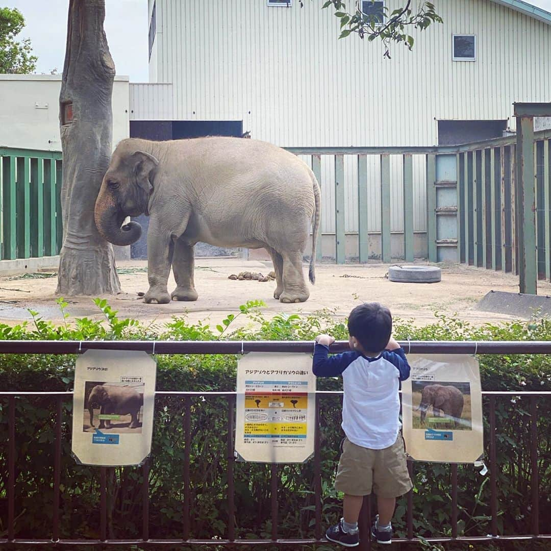 小川ひとみのインスタグラム