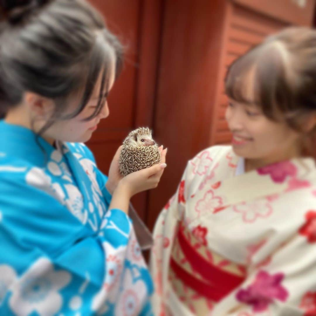 ラド&ティンクさんのインスタグラム写真 - (ラド&ティンクInstagram)「Asakusa🏮,which is famous in Japan, wearing a kimono👘  model ： Liam  連休最終日、 飼い主🅱️がお友達のmomo🍑ちゃんと着物を着てブラブラするって言うから、 リアムを連れて行きました😊 リアムは風が気持ち良かったみたいで、楽しそうでした👍  お着物は @asakusa_niji さんのレンタル着物をお借りしました。 今回着ている着物は  ベーシックプラン　 ¥3,000＋tax （小紋・半幅帯・襦袢・足袋・巾着・草履・ヘアセット・髪飾り）  貴重品以外の荷物はお店の用意してくれる袋に入るものなら預かってもらえるので、可愛い巾着のみで浅草散策できるから、とっても楽ちん❤️  お店の中に女優ライト使えるフォトスポットもあるから、映え写真も撮れちゃう（最後の写真）👍  たまに着物👘着て、浅草を食べ歩きするのもいいよね。  #浅草着物レンタルアンドネイル虹 #浅草着物レンタル虹 #＃浅草ネイルサロン虹＃浅草レンタル着物＃浅草着物レンタル #pr #トリドリベース」9月24日 20時57分 - rado_pompon