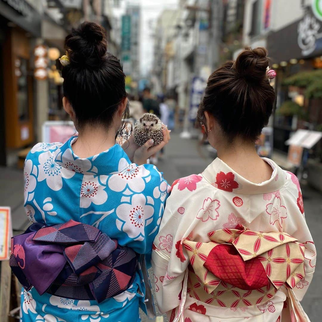 ラド&ティンクさんのインスタグラム写真 - (ラド&ティンクInstagram)「Asakusa🏮,which is famous in Japan, wearing a kimono👘  model ： Liam  連休最終日、 飼い主🅱️がお友達のmomo🍑ちゃんと着物を着てブラブラするって言うから、 リアムを連れて行きました😊 リアムは風が気持ち良かったみたいで、楽しそうでした👍  お着物は @asakusa_niji さんのレンタル着物をお借りしました。 今回着ている着物は  ベーシックプラン　 ¥3,000＋tax （小紋・半幅帯・襦袢・足袋・巾着・草履・ヘアセット・髪飾り）  貴重品以外の荷物はお店の用意してくれる袋に入るものなら預かってもらえるので、可愛い巾着のみで浅草散策できるから、とっても楽ちん❤️  お店の中に女優ライト使えるフォトスポットもあるから、映え写真も撮れちゃう（最後の写真）👍  たまに着物👘着て、浅草を食べ歩きするのもいいよね。  #浅草着物レンタルアンドネイル虹 #浅草着物レンタル虹 #＃浅草ネイルサロン虹＃浅草レンタル着物＃浅草着物レンタル #pr #トリドリベース」9月24日 20時57分 - rado_pompon