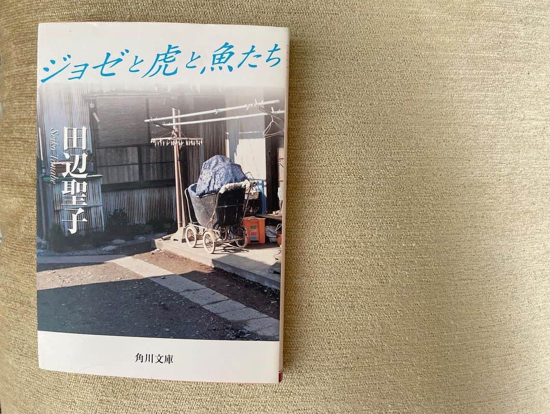 島津咲苗さんのインスタグラム写真 - (島津咲苗Instagram)「最近読み終えた本📚 竹田アナに借りたもの、妹に借りたもの、自ら書店で手に取った本など。  3枚目の「同調圧力」に関する本は興味深く面白かったです😳  人との関わり方について日本と欧米を比較した上で 会社、学校、部活動、あらゆるコミュニティの中に 「世間」が存在すること、 その世間を守ることに必死になると 「個」を失ってしまう...といったことが書かれています。  私はどちらかというと、昔から その集団の中の正義を鵜呑みにして 「当たり前」のこととして認識してしまいがちなので🤦‍♀️ (特に中高6年間のダンス部はそうだったなぁ)   大人になった今は 世間がこうだから、集団の意見がこうだから、ではなく 自分の物差しを持って行動していきたいなぁと 思うようになりました。  外出の機会が減って自分を見つめる時間が多い今だからこそ、読んでよかった(^-^) . . . #メーテレ #アナウンサー #島津咲苗 #読書 #読書記録 #流浪の月 #ジョゼと虎と魚たち #ぼくはイエローでホワイトでちょっとブルー #同調圧力 #桐島部活やめるってよ #bookstagram #読書の時間」9月24日 21時16分 - sanae_shimazu