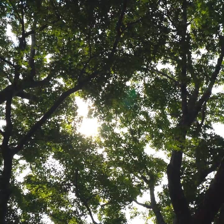 大森皓のインスタグラム