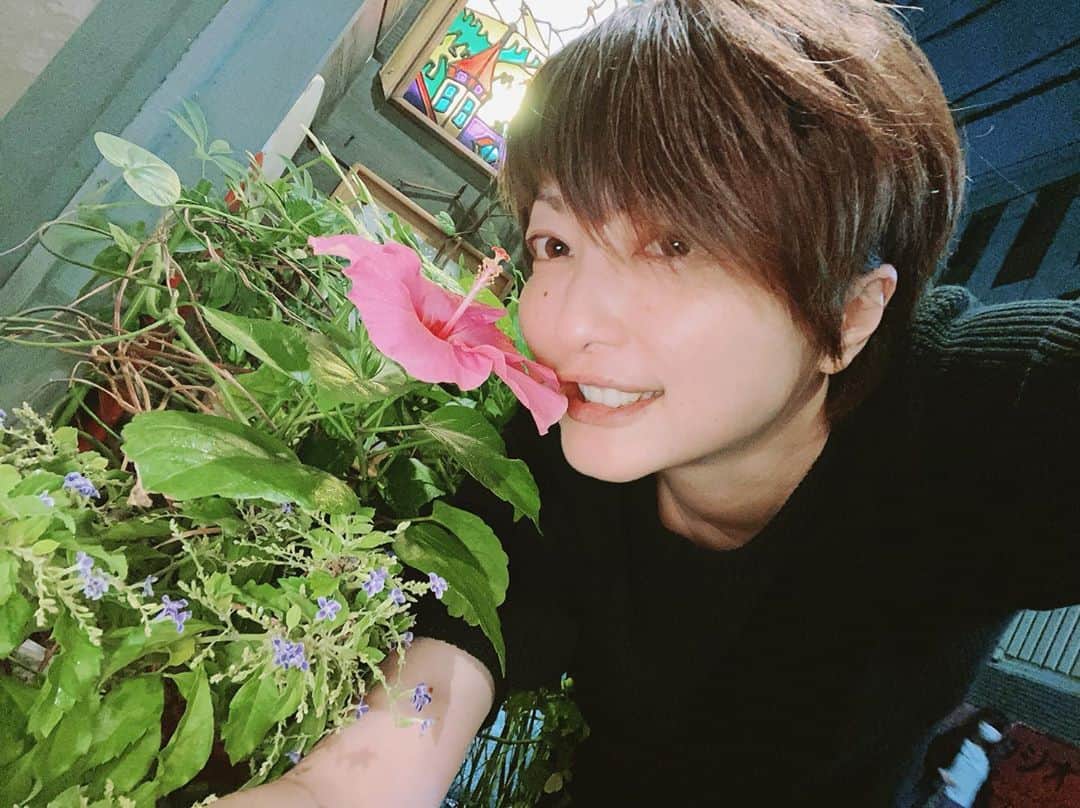 野本かりあのインスタグラム：「行きつけのお店で、お花が咲いていたので。 因みに お花は齧っていません。 #野本かりあ」