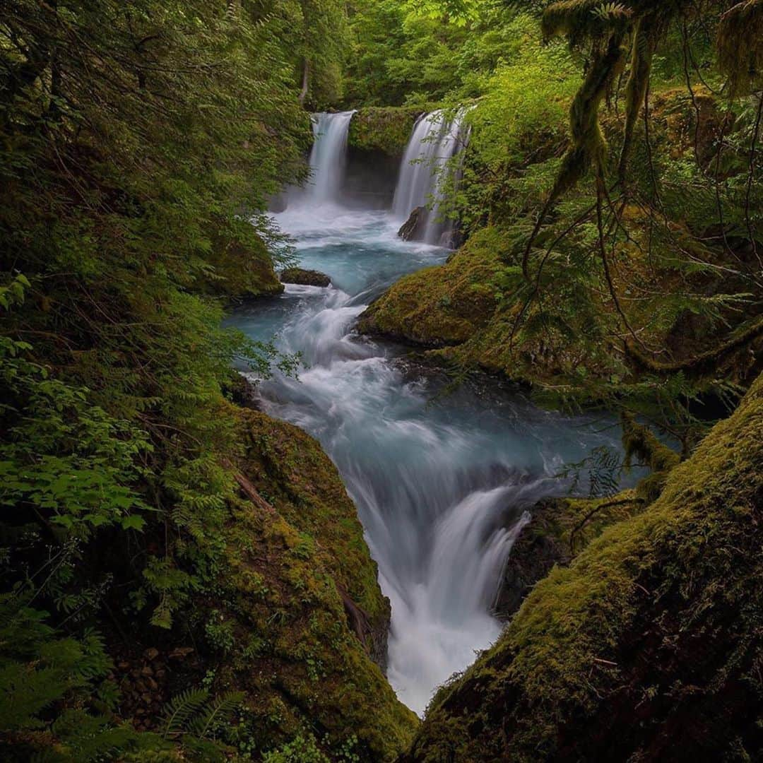 CANON USAさんのインスタグラム写真 - (CANON USAInstagram)「Thank you to #TeamCanon fan @lenkerbrookphotography for sharing this calming shot for last week’s #waterfall theme! Make sure to check back in tomorrow for our next #CanonFanPhoto theme announcement!  Camera: #Canon EOS R Lens: RF 15-35mm F2.8 L IS USM Aperture: f/2.8 ISO: 100 Shutter Speed: 1/4 sec Focal Length: 15mm」9月24日 21時59分 - canonusa