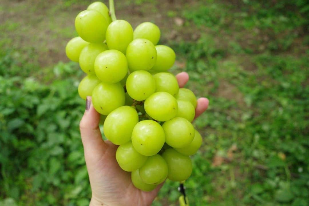 中島早貴のグルメインスタ