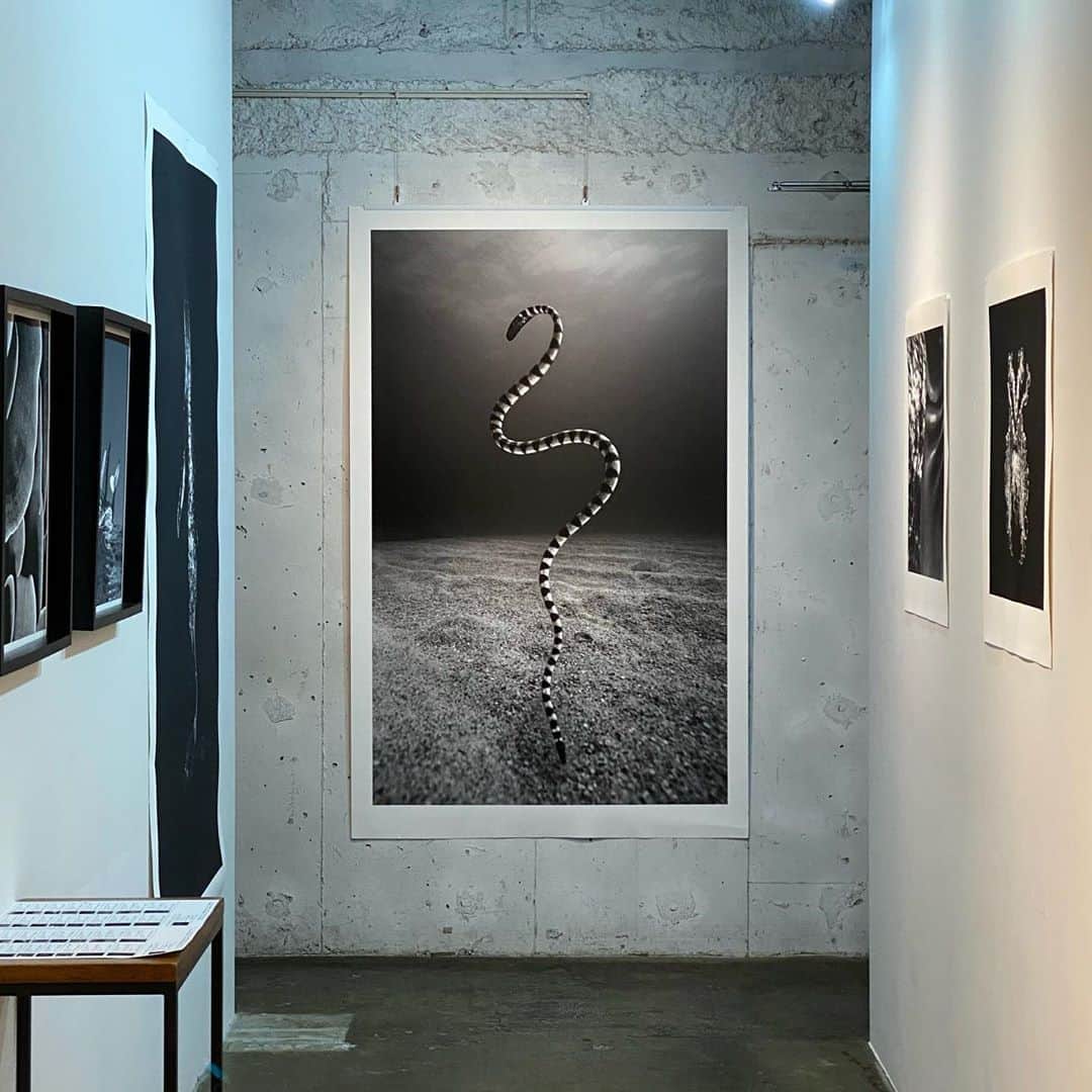 林信行のグルメインスタ