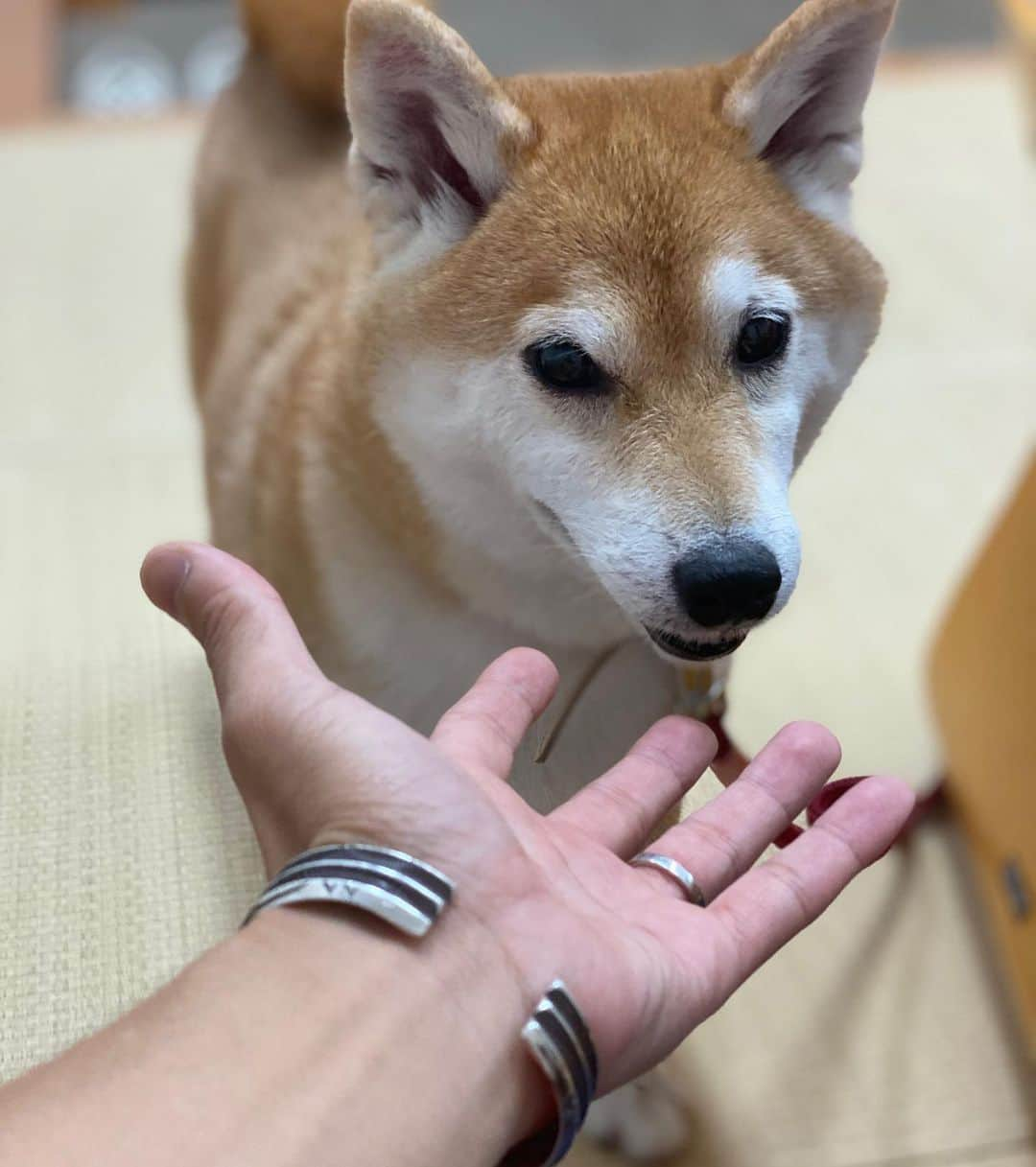 秋山賢太のインスタグラム