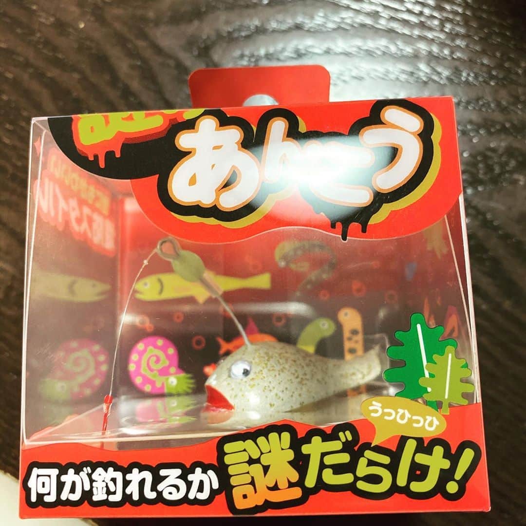 五箇公貴のインスタグラム：「絶対釣れないと思うけど面白いから買いました。釣具のこういうくだらないところ大好き。」