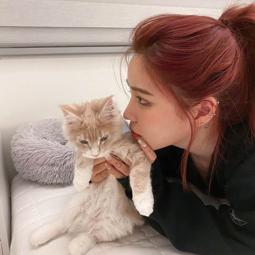 チェユラさんのインスタグラム写真 - (チェユラInstagram)「우리집 고영희씨 😺」9月25日 0時08分 - youra_ch0i