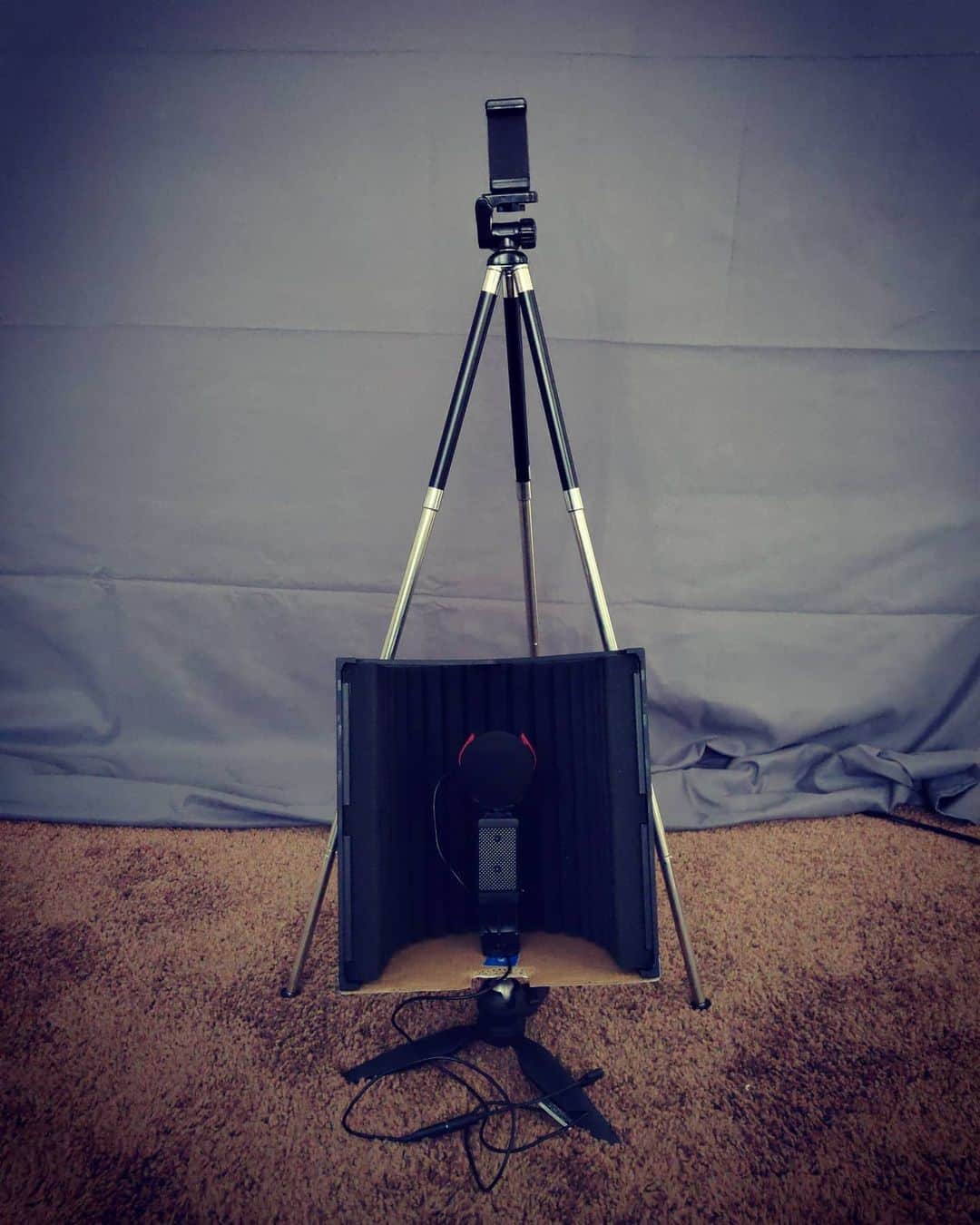 のインスタグラム：「My new toy for selftape auditions has arrived!   I tested it. And it actually record sounds much clearer!   And also thank you @carleylolaharper for the advice of rearranging my room to make much more space to create an audition space permanently!   #actor #selftape #clear #sounds #soundproof #audition #casting」