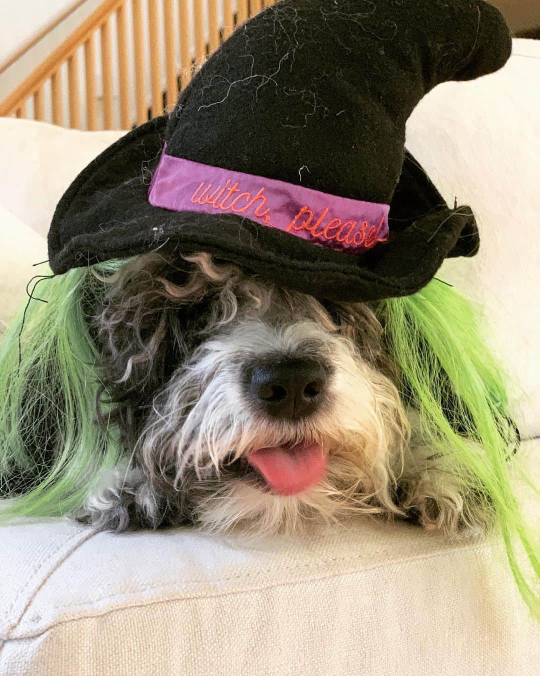 ジェニファー・エスポジートのインスタグラム：「#mood. I’m tapping out 2020.   Pls follow my new page @arebelliousact. It’s for my newly founded production company, A Rebellious Act.  We will focus on female and underserved voices/stories. I’m so tired of it all-so what CAN I DO? Create, or help others to do so.  Beauty, important subjects/ stories and conversation through art.  We should ALL have a voice. #getrebellious you don’t like the world? #changeit.」