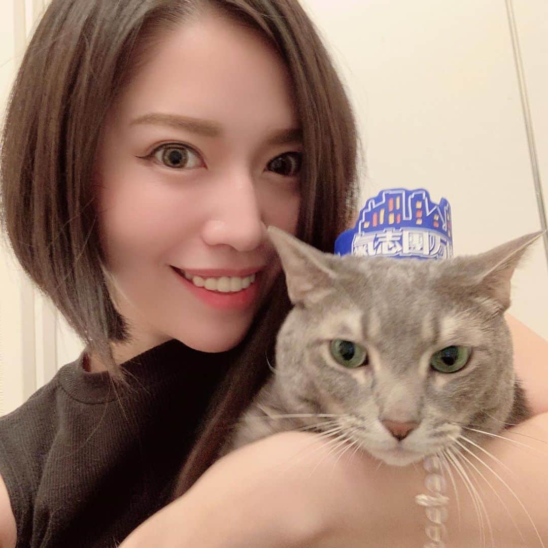 のインスタグラム：「唯一毎年観に行っているフェス、氣志團万博が今年はオンライン開催！ 家で1人で味わうのも良いかなと思ったのだけど、お祭なので友人たちと密を避けつつちょっと贅沢なご飯を食べたりしながら観たいと思います。 ご飯屋さんでのお食事の最中など観られない時間は出来てしまいますが、アーカイブも翌日まであるようなので安心。 楽しみー！ #むーさん #相変わらずの無表情 #そこが良い #氣志團万博2020 #氣志團万博2020家でyeah  #オンラインフェス」