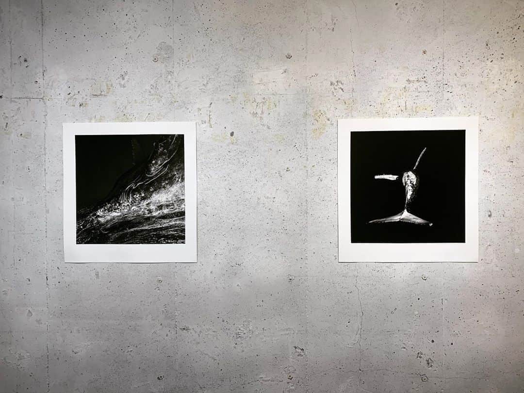 二木あいのグルメインスタ