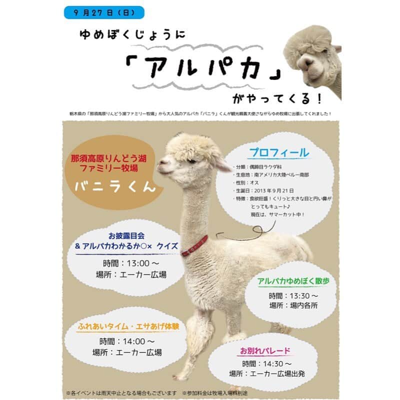 成田ゆめ牧場さんのインスタグラム写真 - (成田ゆめ牧場Instagram)「【ゆめ牧場に「アルパカ」がやってくる！】 9月27日（日）一日限り で 、栃木県の「那須高原りんどう湖ファミリー牧場」から大人気のアルパカ「バニラ」くんが観光親善大使さながらゆめ牧場に出張してくれます！ 当日は、バニラくんのゆめ牧場散歩や、ふれあい体験などのイベントを開催します😆  #アルパカ #那須高原りんどう湖ファミリー牧場 #りんどう湖ファミリー牧場  #特別来場 #成田ゆめ牧場 #ゆめ牧場 #牧場 #千葉県  #naritadreamfarm #farm #farmstagram」9月25日 12時37分 - yumebokujo