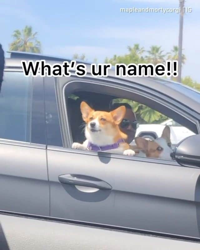 8crapのインスタグラム