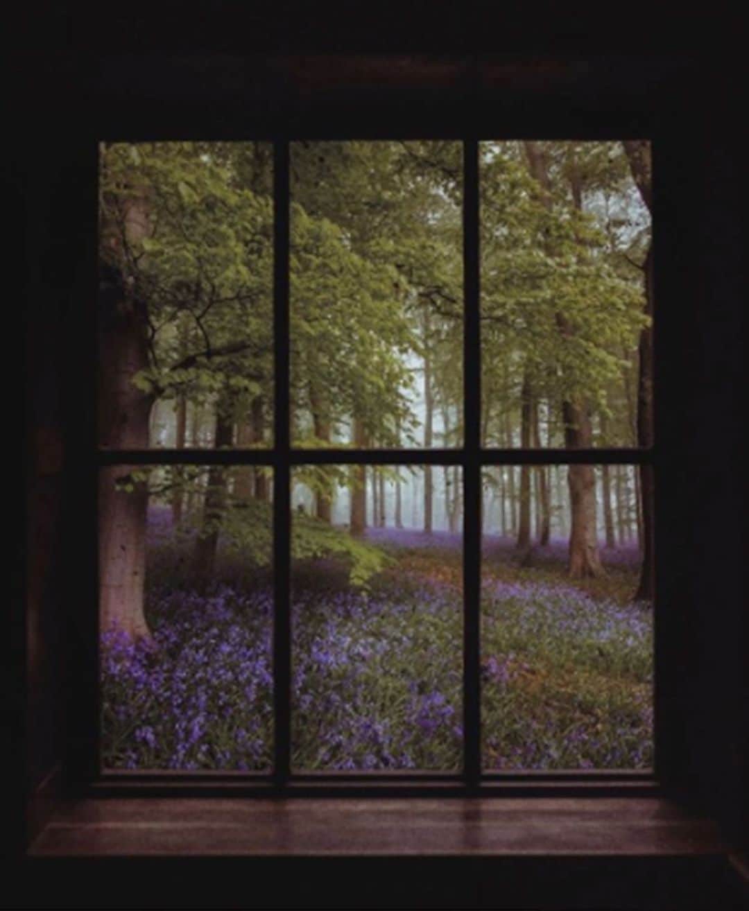 レベッカテイラーのインスタグラム：「Hard lines against a soft setting, from @somewhereiwouldliketolive」